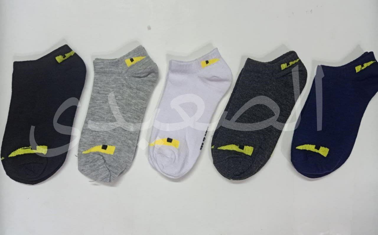 IMG-PRODUCT
